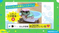 【映像】カエルのバズったバスタイム