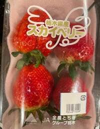 假屋崎省吾『デカイイチゴ差し入れにいただきました〜っ‼️』