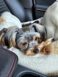 武東由美 『一緒に』