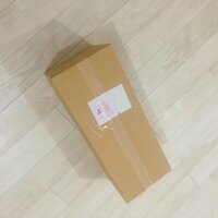 平野ノラ『来た！』