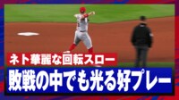 【映像】若手のネトが空間認識力に優れた好プレーでアウトに仕留めた瞬間