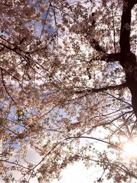 ともさかりえ『スタート』