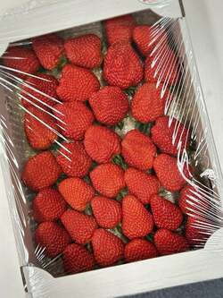  森口博子、野口五郎から頂いた差し入れを公開「太っ腹」「美味しそう」の声 