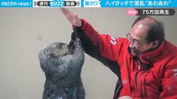 “あわあわ”…飼育員のフェイントにラッコが混乱 やりとりの一部始終にほっこり