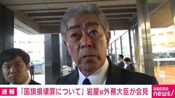 「国民の意識に萎縮効果を与える恐れ」岩屋前外相が「国旗損壊罪」に慎重な意見「政治的アピールのような立法は、表現の自由に照らして不適切」