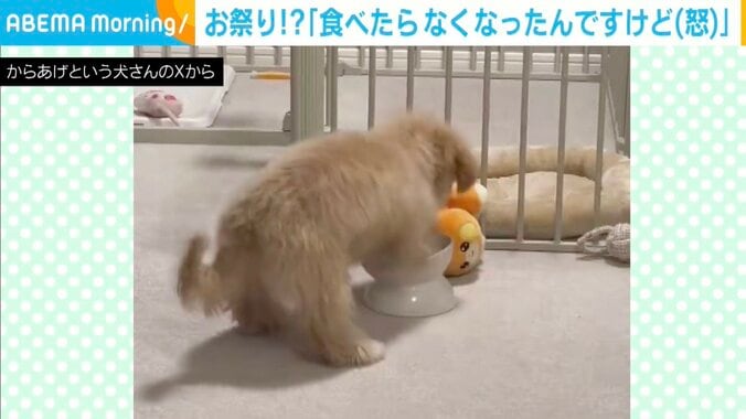 マルプーのからあげちゃん