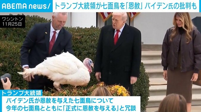 トランプ大統領と七面鳥