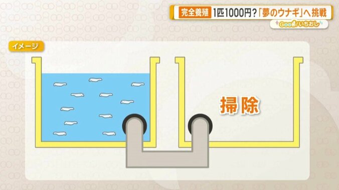 掃除作業の効率化