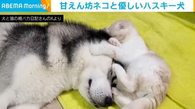 はっちゃんとじゅんちゃん