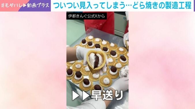 「どらきんぐ生」