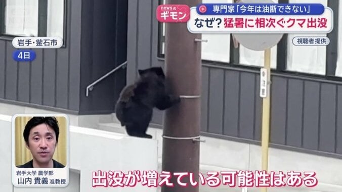岩手大学　農学部　山内貴義准教授