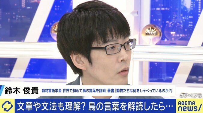 世界初「鳥の言葉を証明」 注目の研究者に聞く、動物たちは何をしゃべってる？ 「人間中心の先入観から脱却して世界を見直すべし」 7枚目
