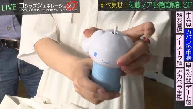 佐藤ノア、カバンの中身大公開　食べるおやつは酒飲み予備軍「ケーキより砂肝」 3枚目