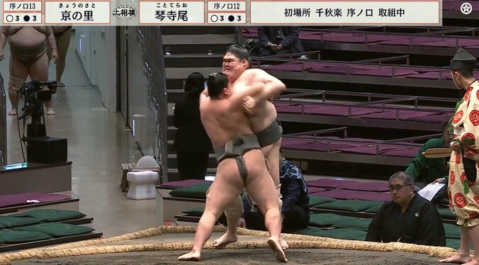 「不思議なバランス」「手足細い」巨漢力士、“ほっそり”手足にファン驚き 4枚目