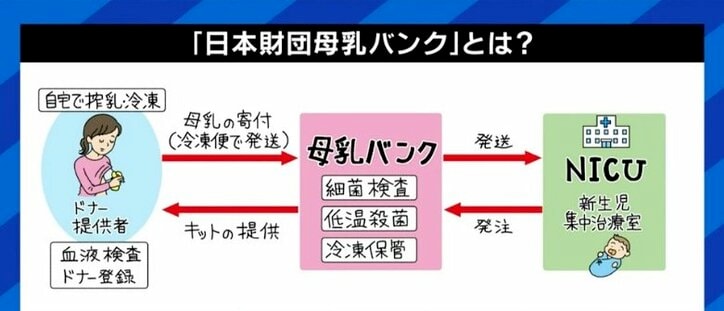 根強い日本の“母乳信仰”に宋美玄医師「妊娠37週以上の正産期に生まれた赤ちゃんなら、完全ミルクでも問題ない」 5枚目