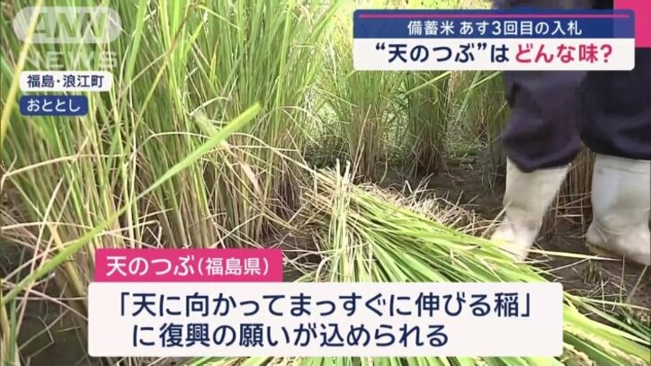 復興の願いが込められている