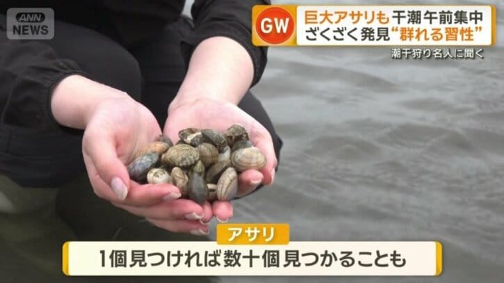 数十個まとまって取れることも