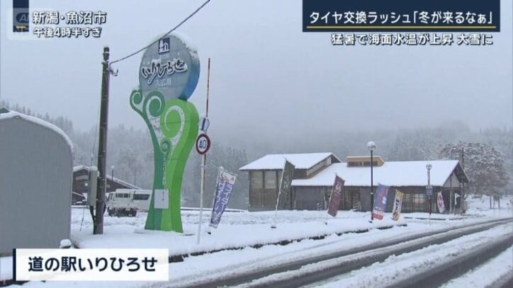 道の駅いりひろせ