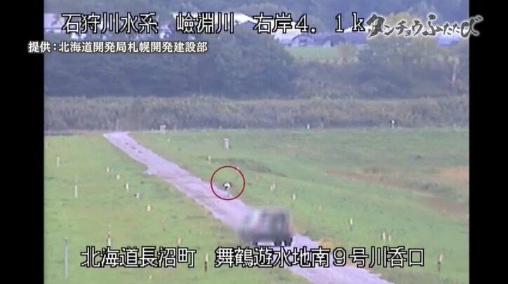 町民からも笑われた運動に起きた“奇跡” 農家の取り組みが、絶滅危惧種のタンチョウを呼び戻した