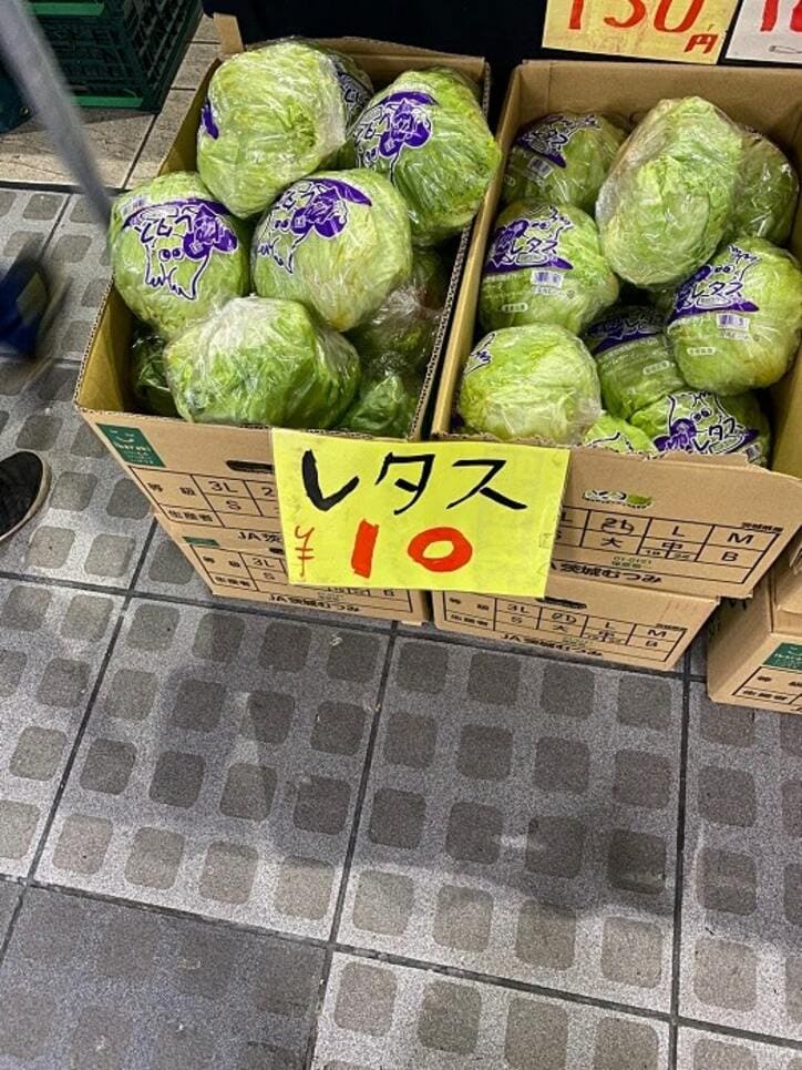  はんにゃ・川島の妻、嘘みたいな値段で売られていた野菜「こんな物に出会えるなんて…」 