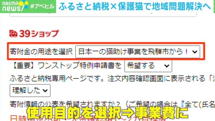 ふるさと納税が保護猫を救う？ まちづくりプロジェクトで環境問題も解決へ「全ての人にプラスになる事業に」