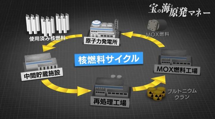 【写真・画像】「原発マネー」揺れる住民たち…推進派・反対派も心は一つ「宝の海を遺したい」 6枚目