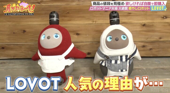 磯野貴理子、癒しのロボットと運命の出会い 抱きしめ涙「生きてます」