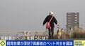 「高齢者はペットを飼っちゃダメ？」深刻化する飼育放棄の実態とは