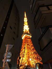 高橋真麻『帰宅後』