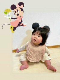 布川敏和『孫ミニー』