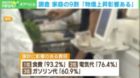 【映像】家庭の約9割が「物価上昇の影響ある」 1カ月の生活費の平均とは