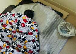  ココリコ・遠藤の妻、外出先で嘔吐した次男が受けた診断「一気にぐったりしちゃって寒い寒いってブルブル震えて」 