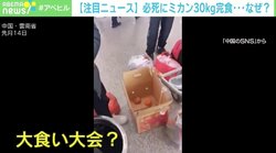 空港で必死にみかんを食べる4人の男性 理由は重さによる超過料金 中国