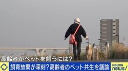 「高齢者はペットを飼っちゃダメ？」深刻化する飼育放棄の実態とは