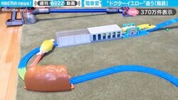 『ドクターイエロー』を追いかける“鳥鉄”インコの電車愛に「一生懸命すぎて可愛いすぎ！」「車両にカメラ付けたら怪獣映画みたい」と絶賛の声
