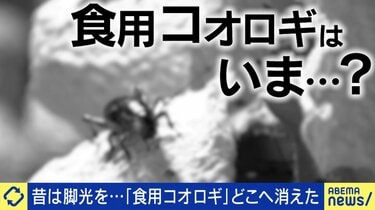 食用コオロギ」はどこへ…「培養肉」は進んだ？食糧危機を救うと言われ 