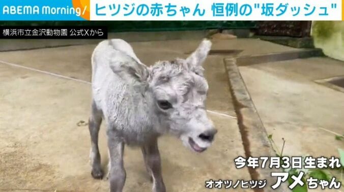 アメちゃん