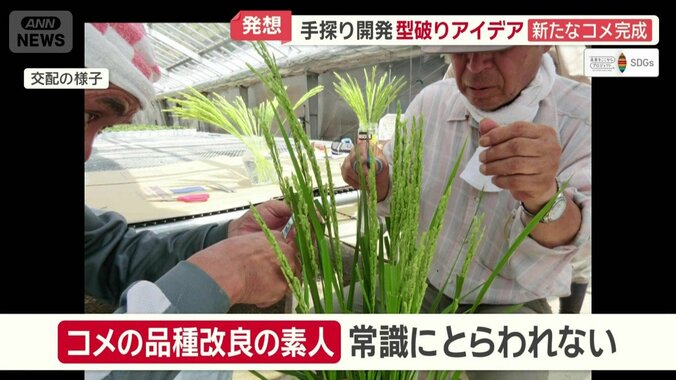 “素人”だからこそ常識にとらわれず