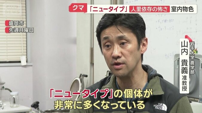 岩手大学　農学部　山内貴義准教授