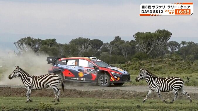 【写真・画像】世界最速ラリーで空撮ヘリが「低空すぎ」大反響 「このカメラ凄いな」臨場感にファン驚愕　1枚目