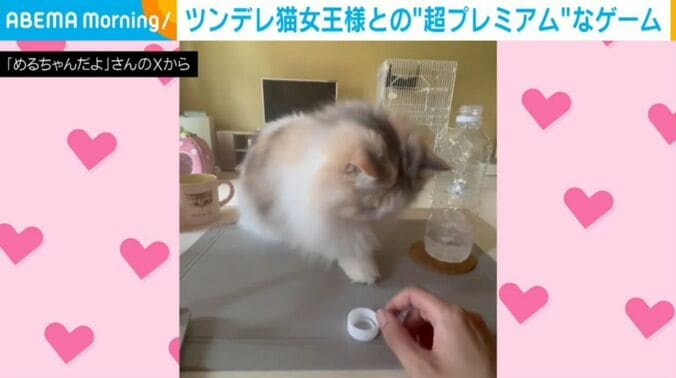 めるちゃん