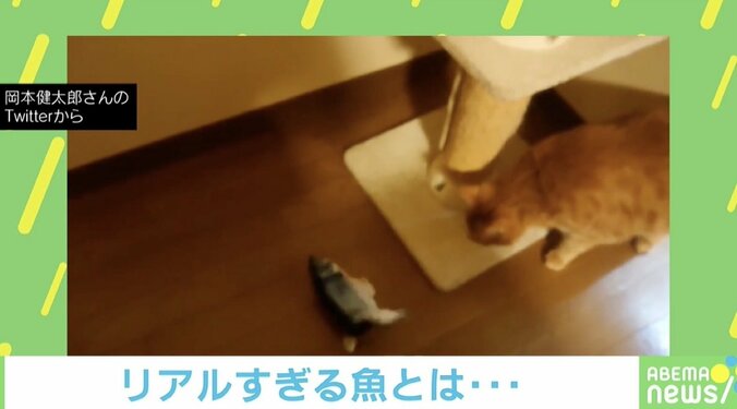 躍動感ハンパないニャ！ リアルすぎる魚のおもちゃと対面した猫の反応が話題 2枚目