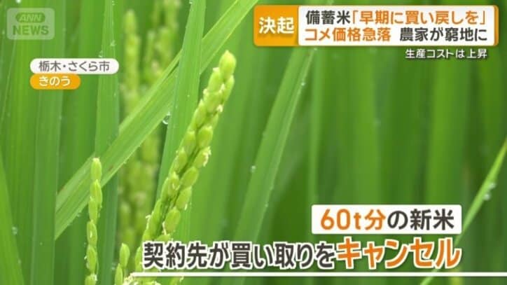 契約先からキャンセル