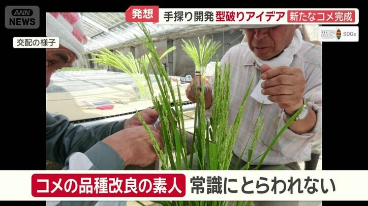 “素人”だからこそ常識にとらわれず