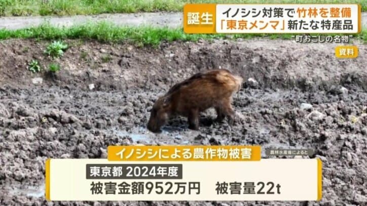 イノシシによる農作物被害