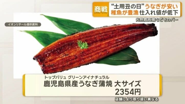 イオンでは