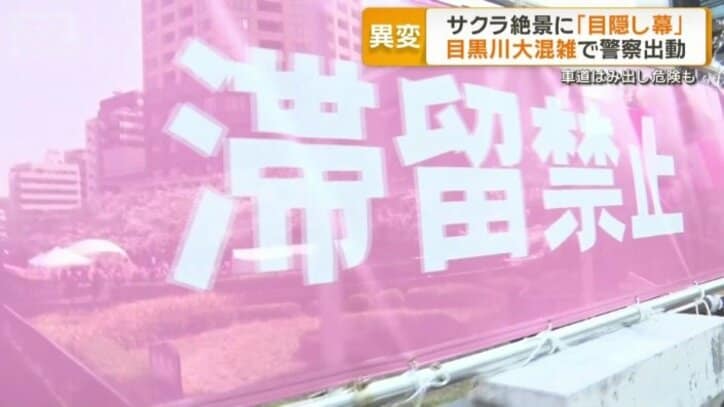 「目隠し幕」を設置