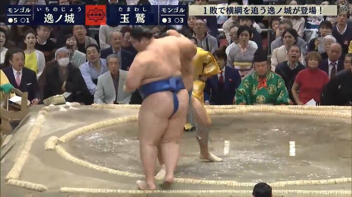 横綱・鶴竜を追う1敗の逸ノ城、相性の良い玉鷲に押し出されて2敗目