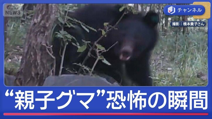 各地で“親子グマ”　襲われた当事者語る「恐怖の瞬間」