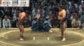 「横綱が手をついてるのに…」「合わせてよ」伯乃富士、立ち合いの“間”に困惑の声 大の里は“完全復調”の兆し 好調・伯乃富士を圧倒「これが大の里だ！」ファン興奮